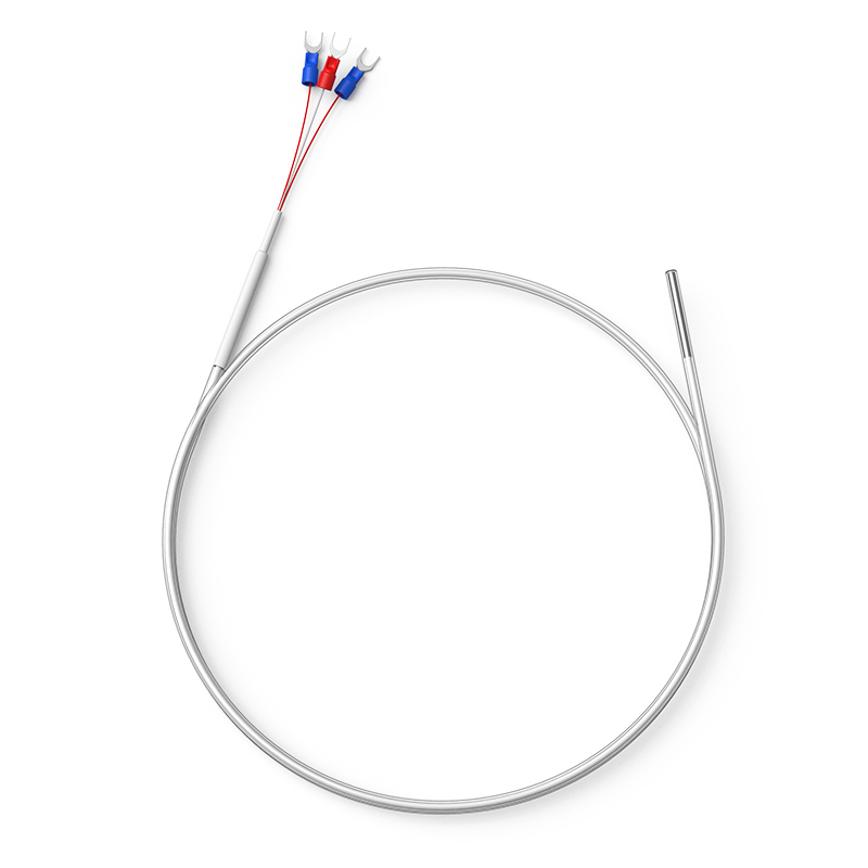 鐵氟龍熱電阻12_http://www.tynrsq.com.cn_溫度儀表_第1張